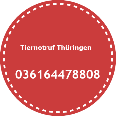 Tiernotruf Thüringen  