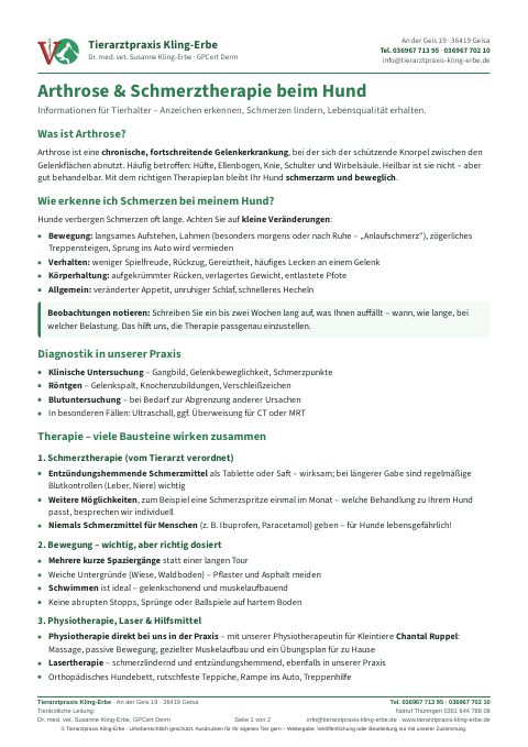 Vorschau: Arthrose und Schmerztherapie beim Hund