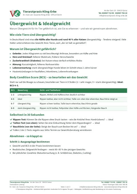 Vorschau: Übergewicht und Idealgewicht