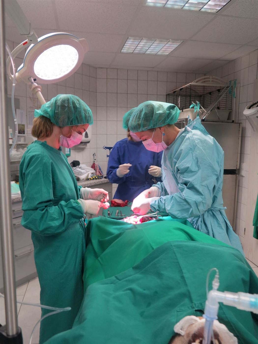 Operation im OP-Saal der Praxis