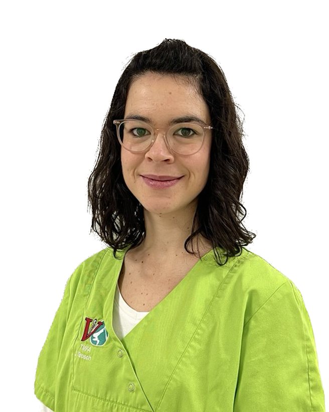 Julia Grosch