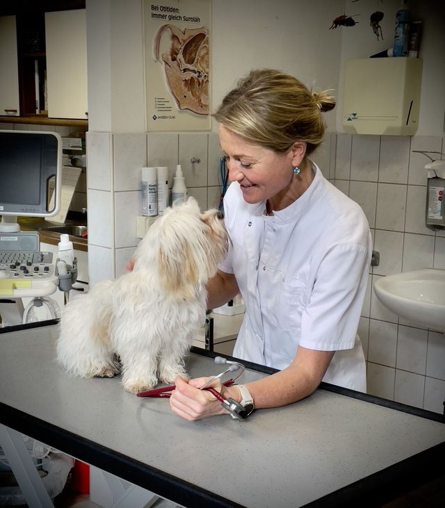 Dr. med. vet. Susanne Kling-Erbe